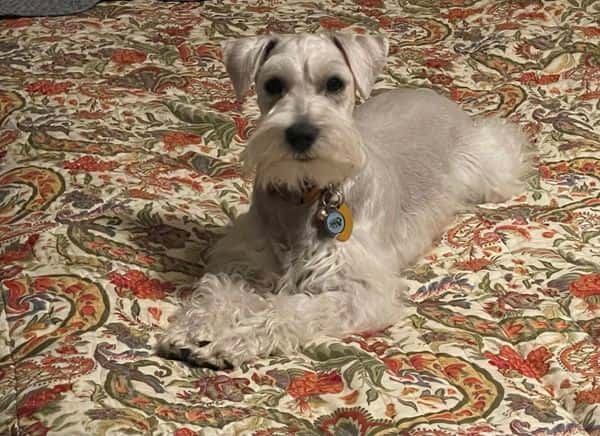 Circle R Review - Shanna Smith